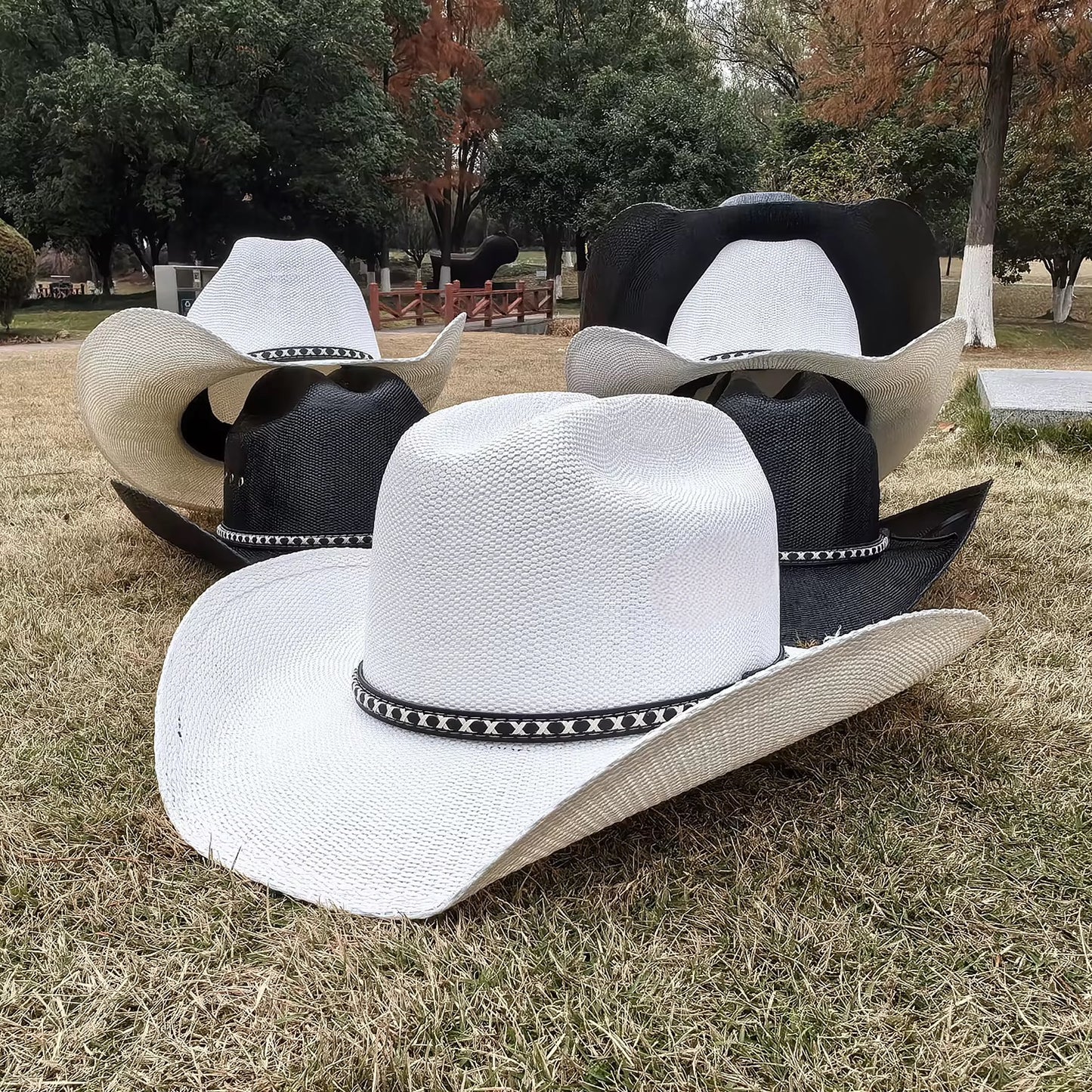 Beyond Ruff Straw Cowboy Hat
